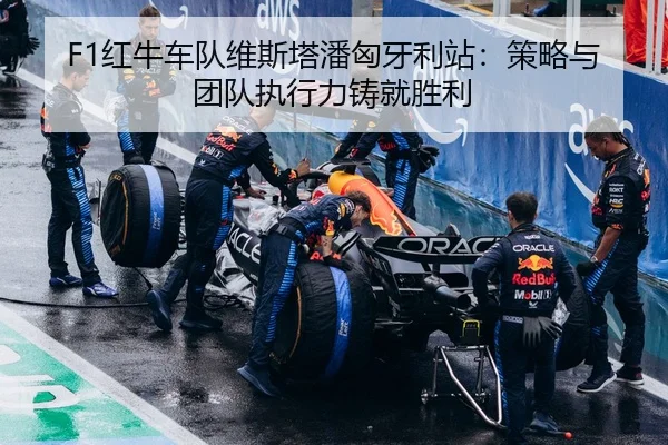 hong-niu-che-dui-wei-si-ta-pan-xiong-ya-li-zhan-ce-lve-yu-tuan-dui-zhi-xing-li-zhu-jiu-sheng-li-2-402.jpg
