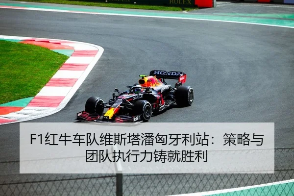 F1红牛车队维斯塔潘匈牙利站：策略与团队执行力铸就胜利