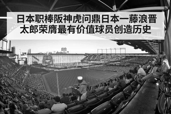 baseball stadium crowd