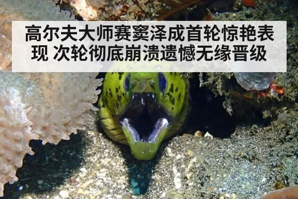 高尔夫大师赛窦泽成首轮惊艳表现 次轮彻底崩溃遗憾无缘晋级
